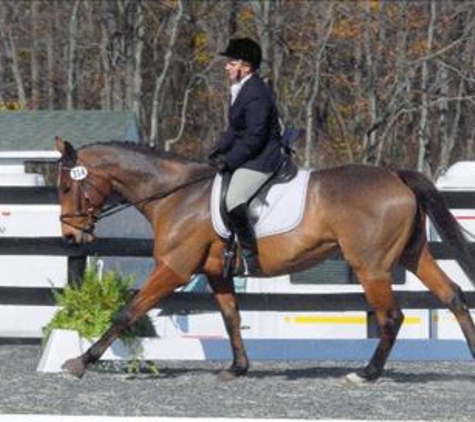 Needville Horseback Riding - Needville, TX