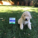 Spring Green - Lawn Maintenance