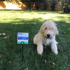 Spring-Green Lawn Care