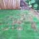 TruGreen