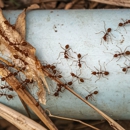 Mr Bug Killer Inc - Pest Control Equipment & Supplies