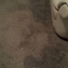 American Steam Pros Carpet Cleaning