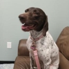 Southpaw Animal Care gallery
