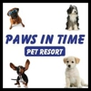 Paws In Time gallery