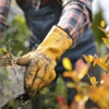 Hill Tree Expert Company gallery