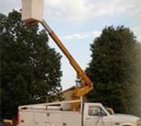 Professional Tree Service - Pelion, SC