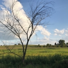 Glacial Drumlin Trail