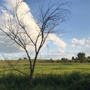 Glacial Drumlin Trail