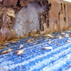 Reynolds Termite Control Inc gallery
