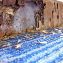 Reynolds Termite Control Inc - Pest Control Equipment & Supplies