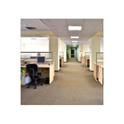 Gallery Image Number 3