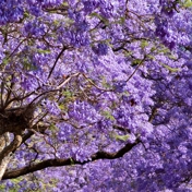 Gallery Image Number 1