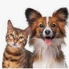 Acadia Animal Clinic Inc gallery