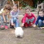 Timber Creek Farm and Forest SChool