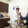 Pine Animal Hospital gallery
