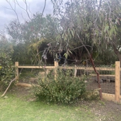 Gallery Image Number 3