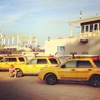 Los Angeles County Lifeguard gallery