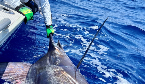 All The Gear No Idea Sportfishing - Exmouth, WA