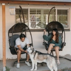 Feels Like Home: Dog Care