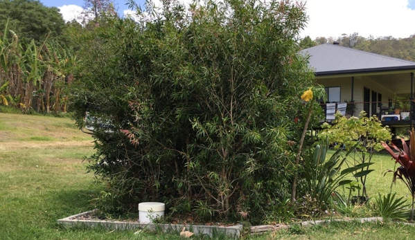 Ecoteam - Lismore, NSW