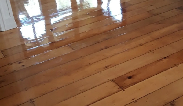 Shane's Sanding Service Pty. Ltd. - Raceview, QLD