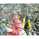 Texan Tree Experts - Tree Service