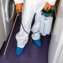 Hilo Termite & Pest Control Ltd. - Pest Control Services