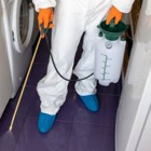 Hilo Termite & Pest Control Ltd.