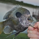 Private Water Fishing
