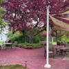 Inn at Pleasant Lake gallery