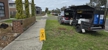 Melbuzz Pest Control - Pest Control