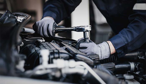 Musca Autos - Northbridge, WA