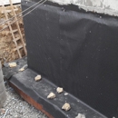 American Eagle Waterproofing