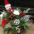 Absolutely Flowers - Plants