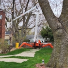 Affordable Tree Care