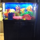 Congressional Aquarium Inc - Aquariums & Aquarium Supplies