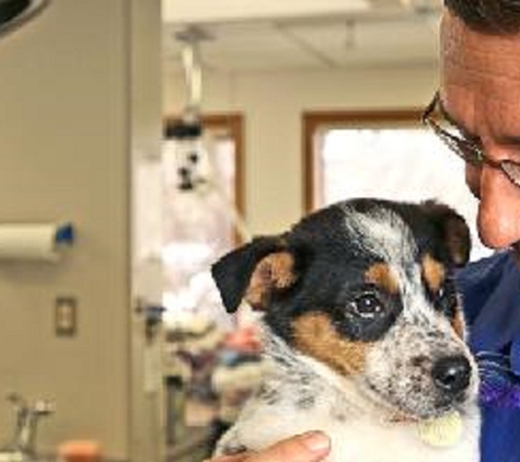 Deer Creek Animal Hospital - Littleton, CO