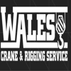 Wales Crane & Rigging Service gallery