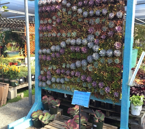 Marina Del Rey Garden Center - Marina Del Rey, CA