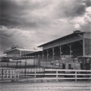 Pimlico Race Course - Race Tracks