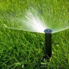 Turf Masters Lawn & Landscape gallery