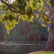 Gallery Image Number 3