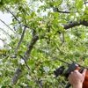 Jones Tree & Plant Care gallery