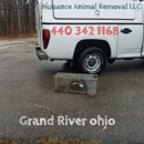Nuisance Animal Removal
