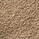 Anderson's Chem-Dry - Carpet & Rug Cleaning Equipment & Supplies