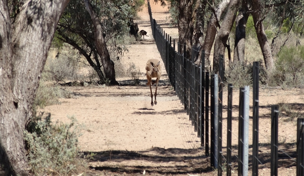 Westonfence - Parkes, NSW