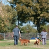 The Pet Hospitals gallery