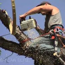 Smith and Associates - Tree Service