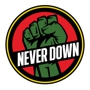 Never Down 24-Hour Commercial Roadside Service & Towing