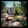 Gorjana gallery